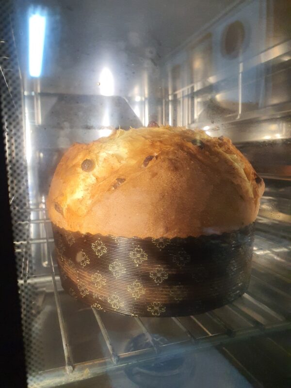 Panettone Tradizionale